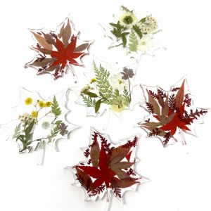 Everleaf Coasters -Set of 6